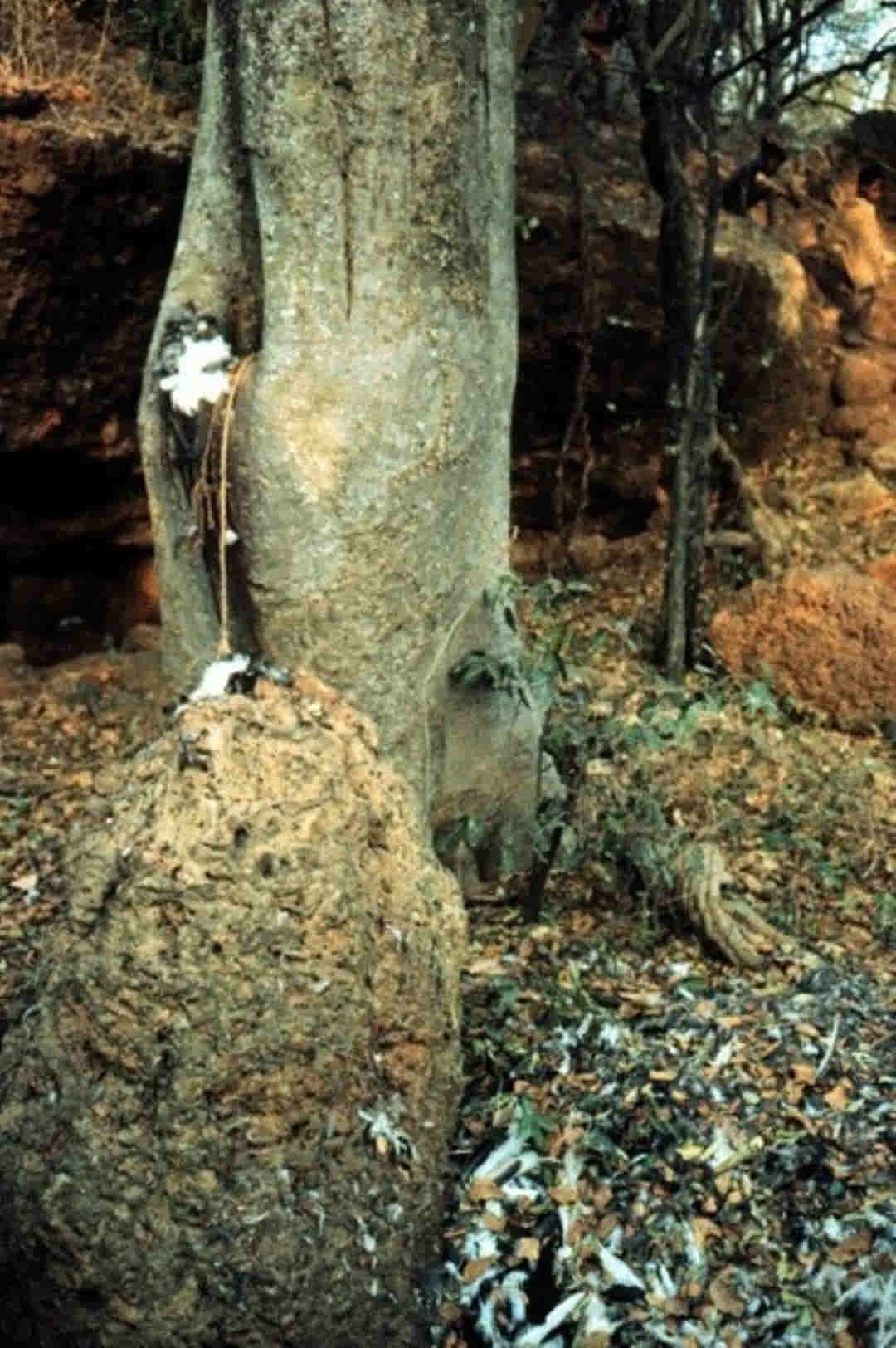 antepasados en Burkina Faso