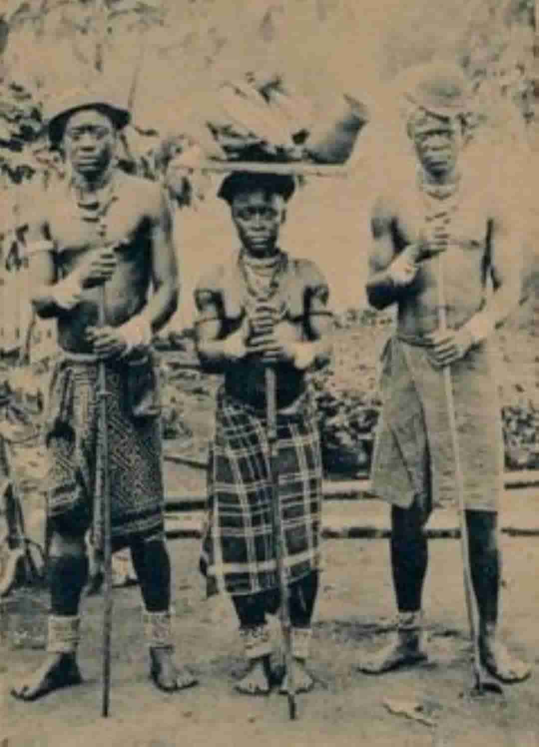 Historia de los vuvis