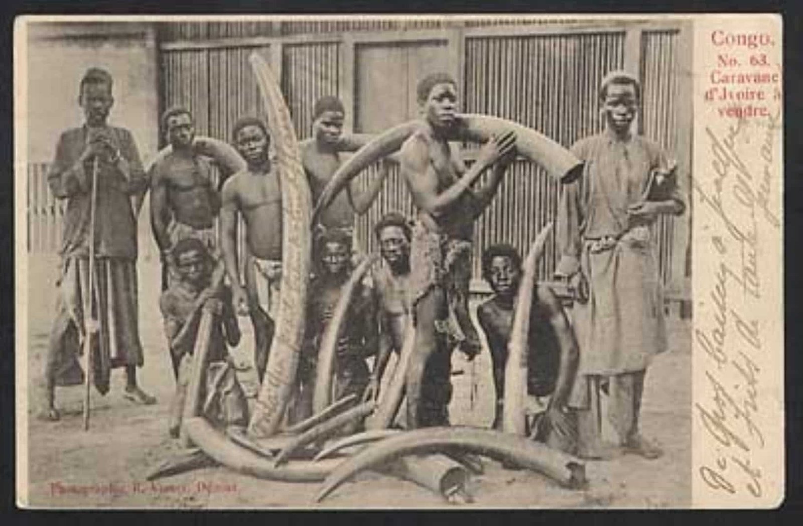 agriculturo de los Kongo