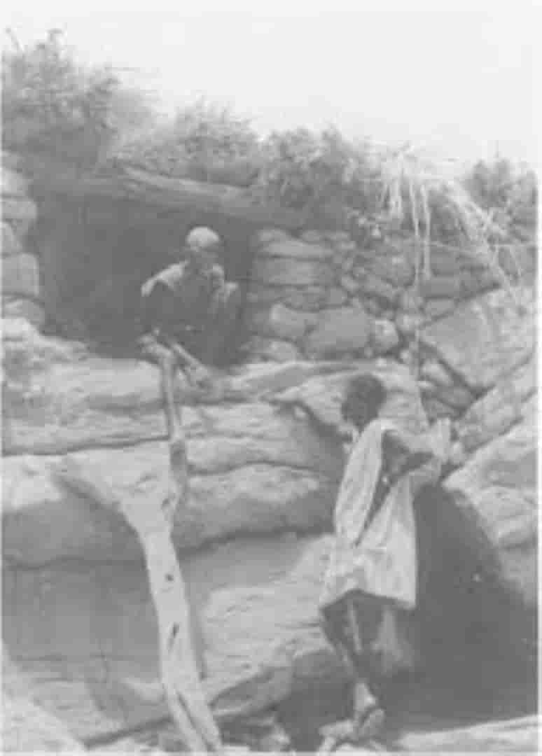 Variedad étnica dogón