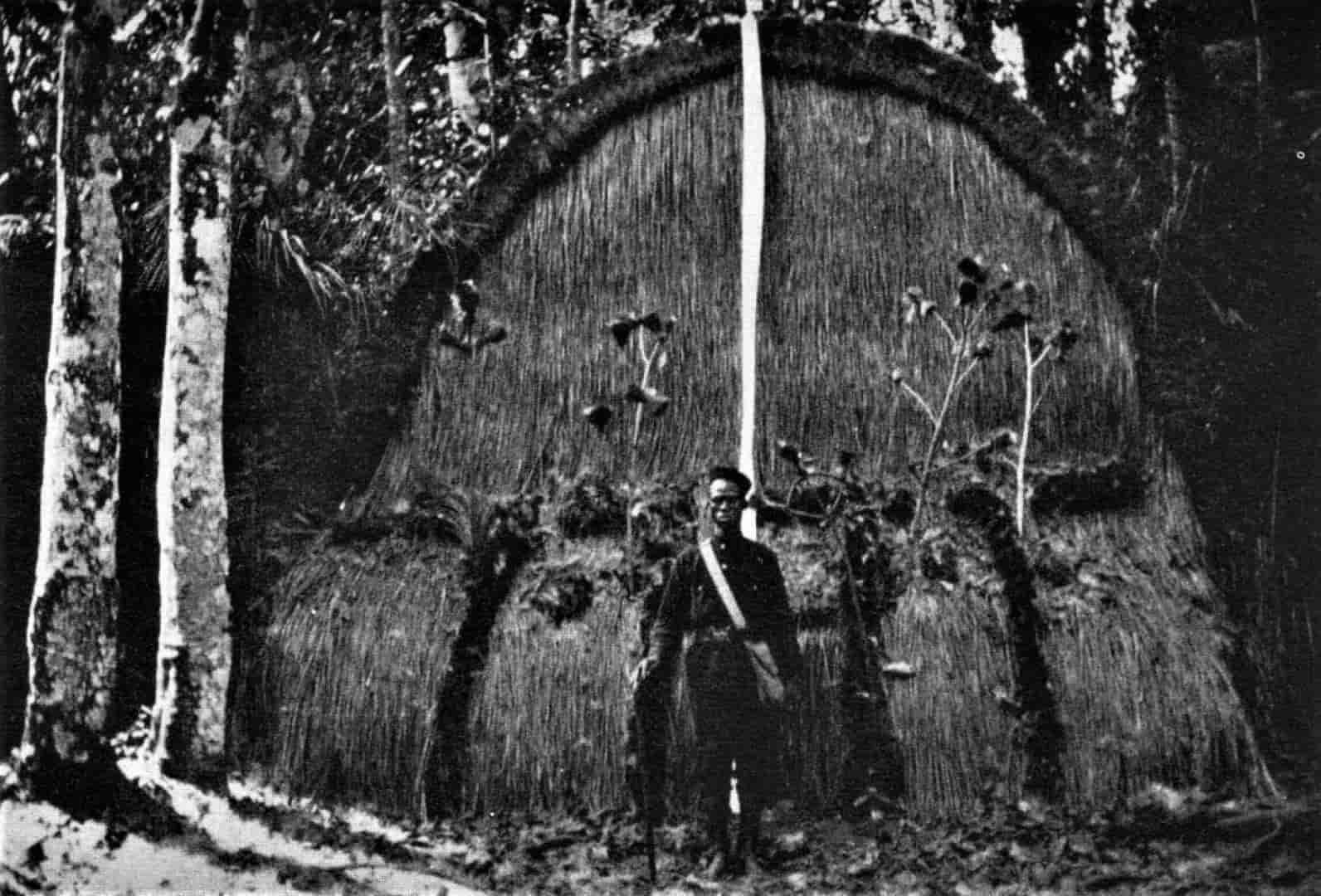 La Escuela del Bosque en Sapâ