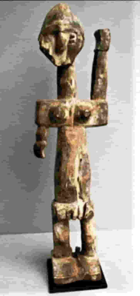 Venavi